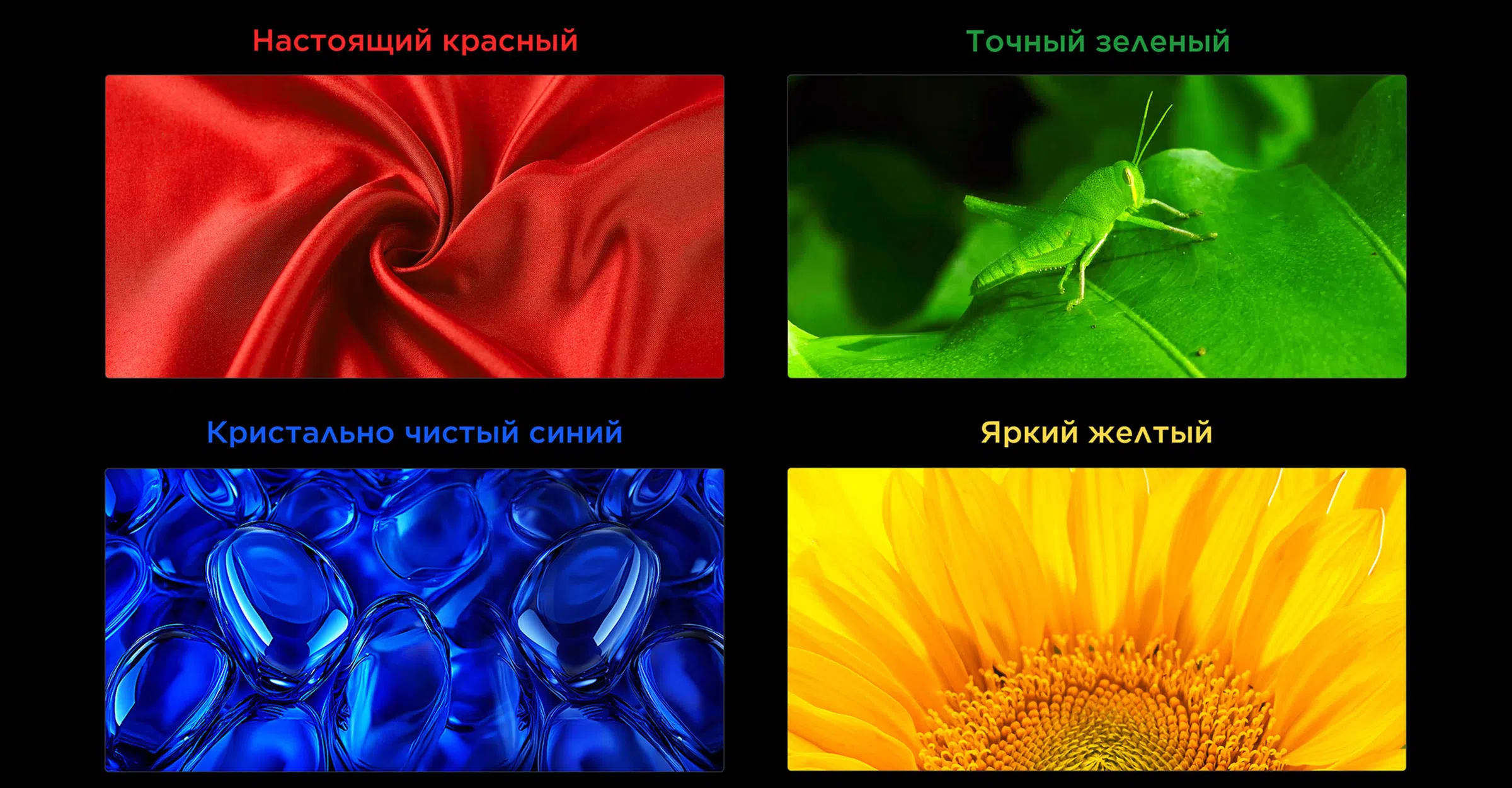 Точное управление цветом &mdash; технология SQD-Mini LED
